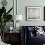 11种家里的绿植摆放选购技巧