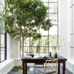 是的，你可以在家里种一棵树