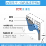 墙面发霉处理妙招